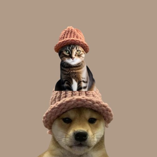 Token Image